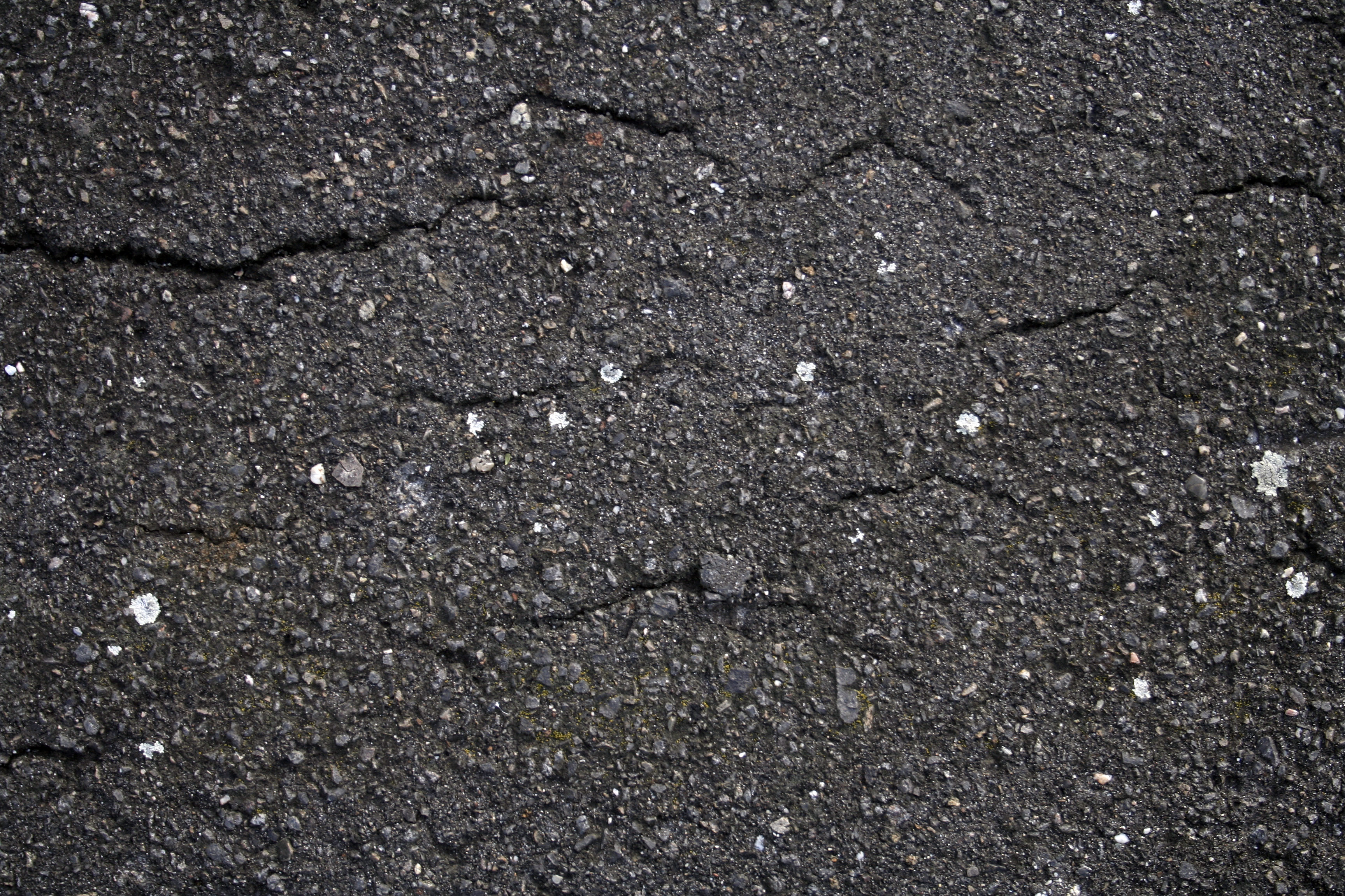 Cracked asphalt texture with moss | TexturePalace.com