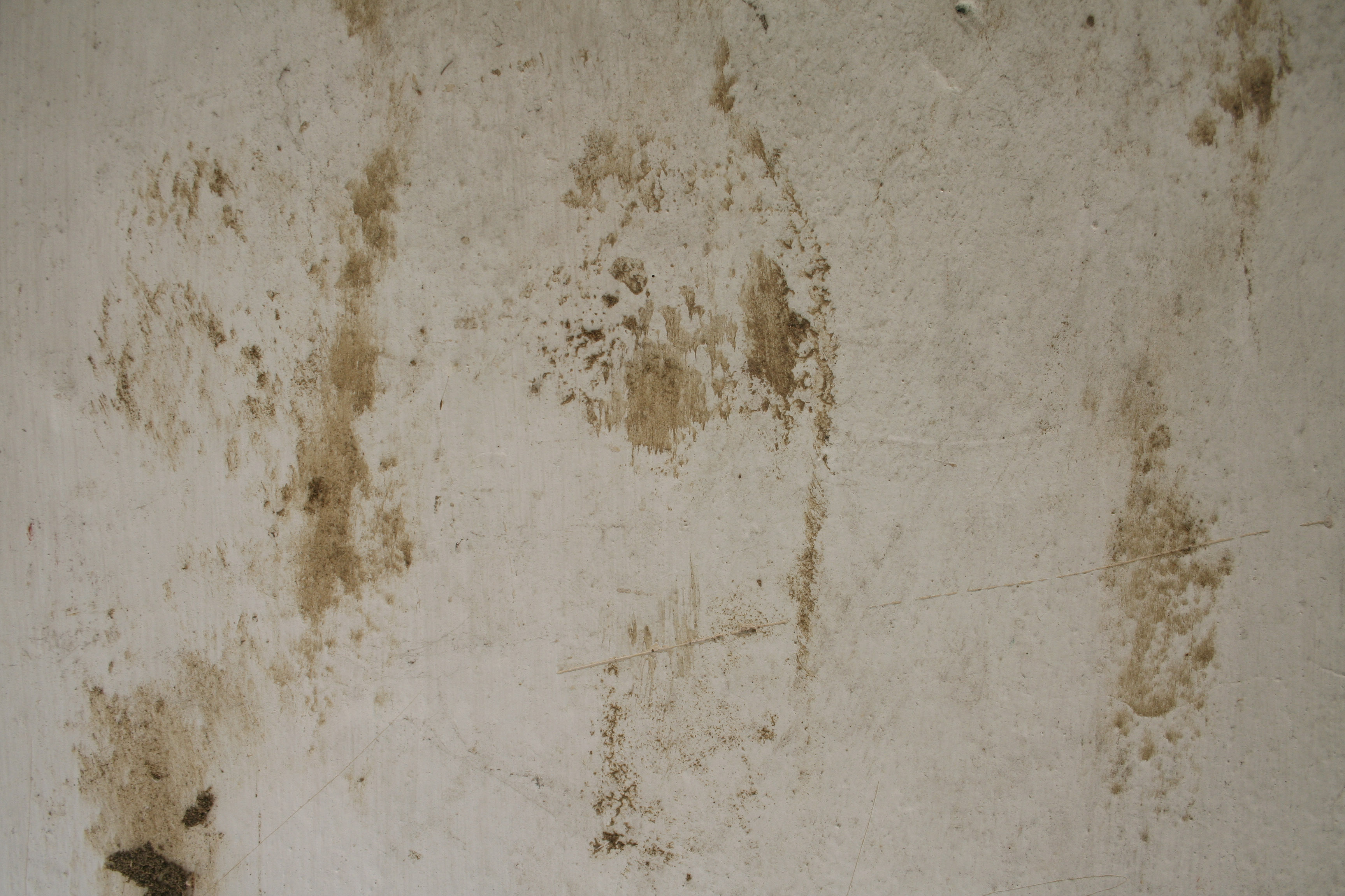 Dirty wall, free texture –