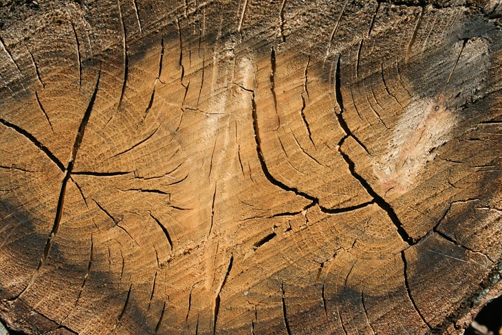 cracked-wood-texture-6